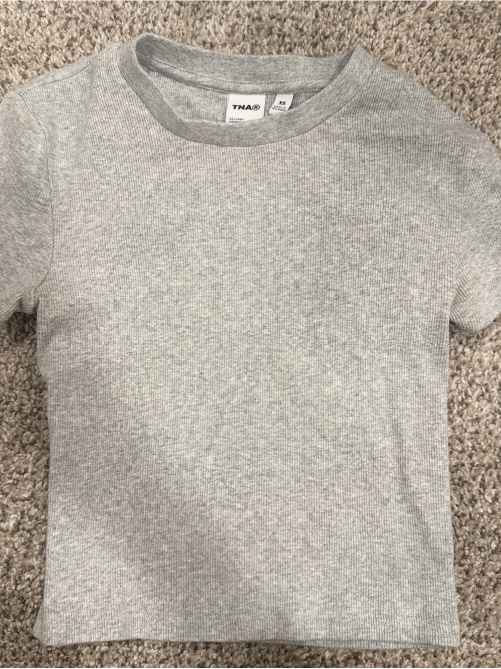 Aritzia Light Grey Ribbed Short Sleeve Crop Top